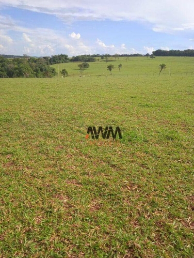 Fazenda-Sítio-Chácara, 160 hectares - Foto 3
