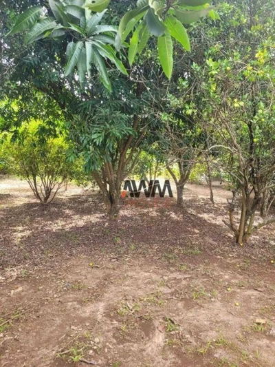 Chácara, 5 quartos, 48 m² - Foto 5