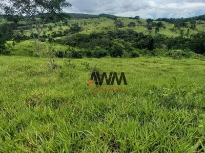 Fazenda-Sítio-Chácara, 169 hectares - Foto 4