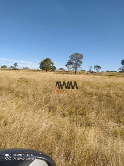 Fazenda-Sítio-Chácara, 1646 hectares - Foto 1