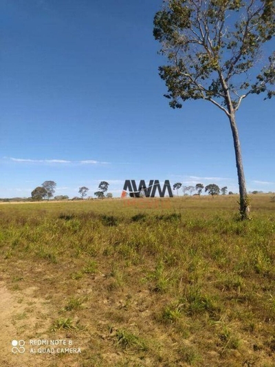 Fazenda-Sítio-Chácara, 1646 hectares - Foto 3