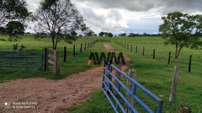 Fazenda-Sítio-Chácara, 774 hectares - Foto 2