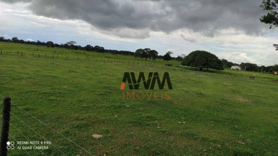 Fazenda-Sítio-Chácara, 774 hectares - Foto 4