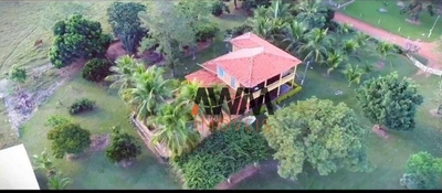 Fazenda-Sítio-Chácara, 13978 hectares - Foto 2