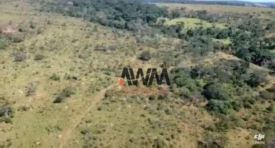 Sítio, 94 hectares - Foto 4