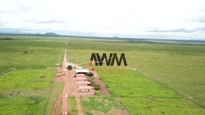 Fazenda-Sítio-Chácara, 20303 hectares - Foto 1