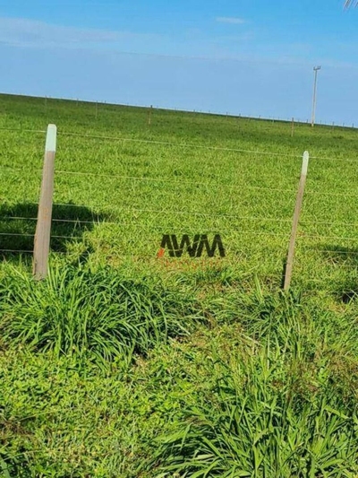 Fazenda-Sítio-Chácara, 20303 hectares - Foto 4