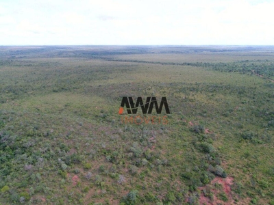 Fazenda-Sítio-Chácara, 401720 hectares - Foto 2