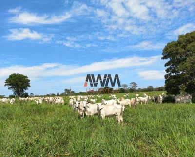 Fazenda-Sítio-Chácara, 242 hectares - Foto 2