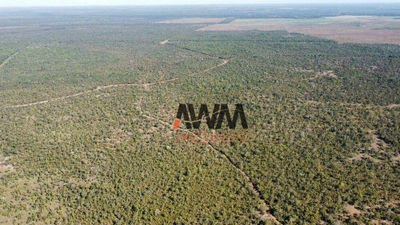 Fazenda-Sítio-Chácara, 1617 hectares - Foto 3