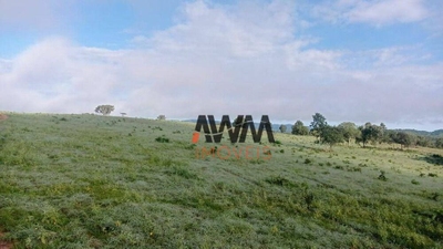 Fazenda, 581 hectares - Foto 3