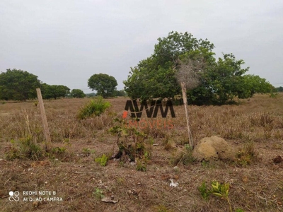 Fazenda-Sítio-Chácara, 687 hectares - Foto 1
