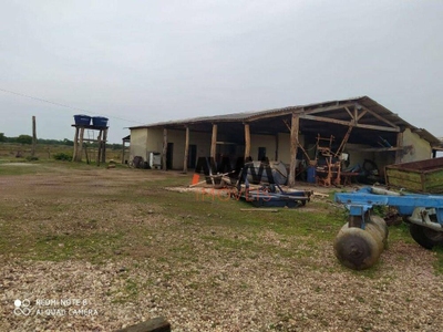 Fazenda-Sítio-Chácara, 687 hectares - Foto 2