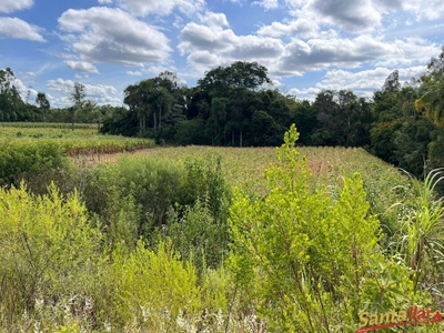 Chácara, 1 hectares - Foto 4