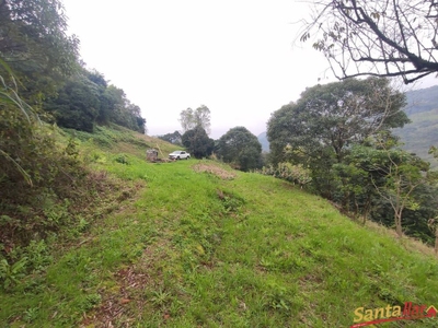 Terreno, 10 hectares - Foto 2