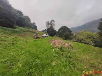 Terreno, 10 hectares - Foto 3