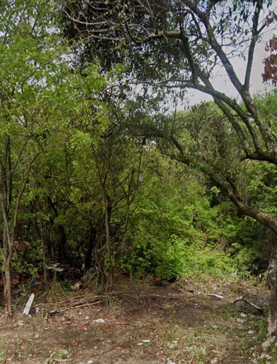 Terreno, 1 hectares - Foto 5