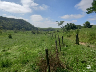 Fazenda-Sítio-Chácara, 271 hectares - Foto 4