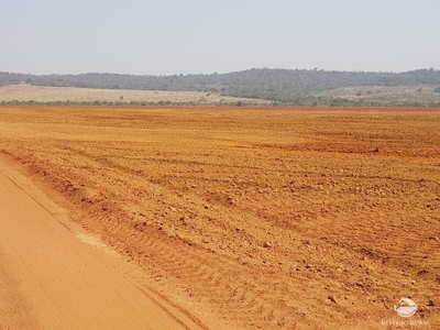Fazenda-Sítio-Chácara, 17531 hectares - Foto 4
