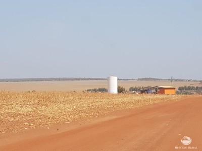 Fazenda-Sítio-Chácara, 17531 hectares - Foto 1