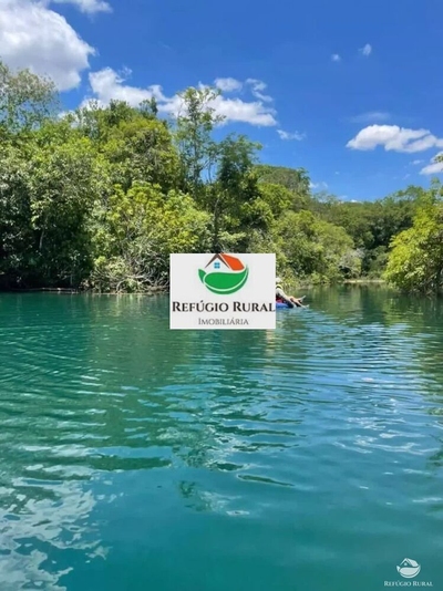 Chácara, 1 quarto, 8 hectares - Foto 1