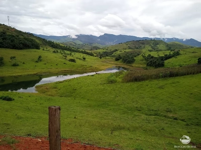 Fazenda-Sítio-Chácara, 37 hectares - Foto 3