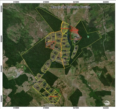 Fazenda-Sítio-Chácara, 2900 hectares - Foto 3