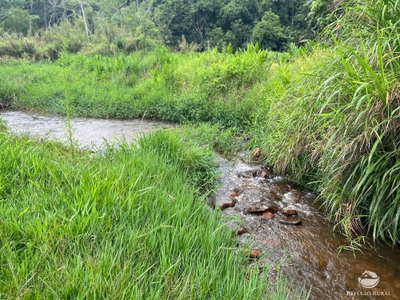 Sítio, 5 quartos, 24 hectares - Foto 3