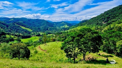 Terreno, 8 hectares - Foto 1