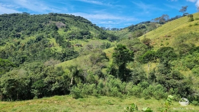 Terreno, 8 hectares - Foto 2