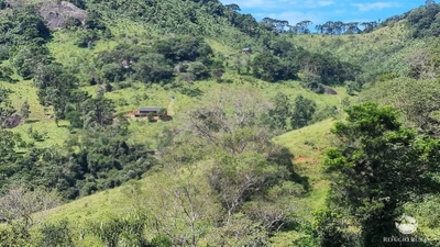 Terreno, 8 hectares - Foto 4