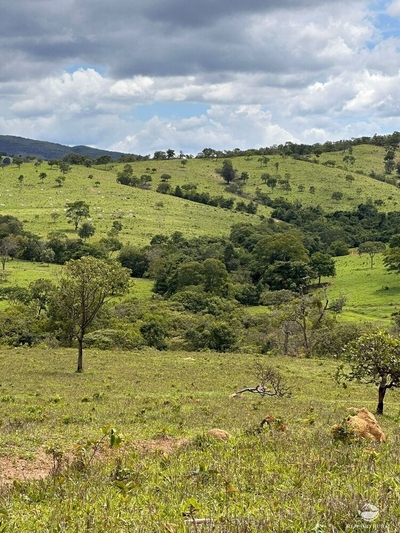 Fazenda-Sítio-Chácara, 1469 hectares - Foto 3