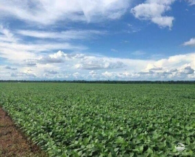 Fazenda-Sítio-Chácara, 8000 hectares - Foto 2