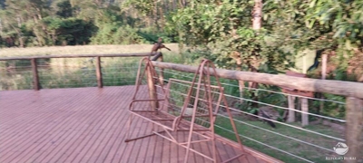 Casa, 3 quartos, 600 m² - Foto 3