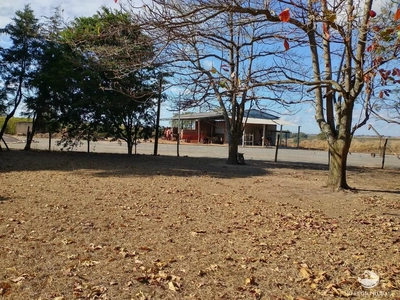 Fazenda, 265 hectares - Foto 3