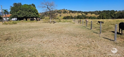 Fazenda, 668 hectares - Foto 3