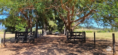 Fazenda, 668 hectares - Foto 1