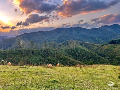 Sítio, 1 quarto, 70 hectares - Foto 5