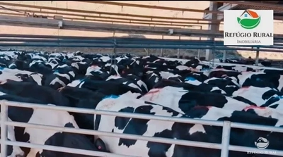 Fazenda, 2180 hectares - Foto 2