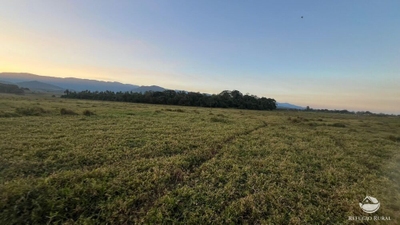 Fazenda-Sítio-Chácara, 96 hectares - Foto 3