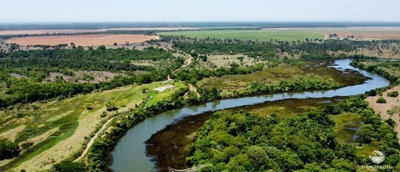 Fazenda-Sítio-Chácara, 615 hectares - Foto 2