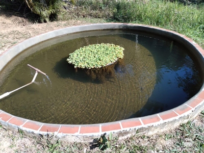 Chácara, 6 quartos, 3000 m² - Foto 3