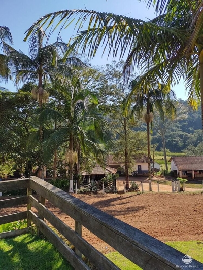 Fazenda-Sítio-Chácara, 324 hectares - Foto 3