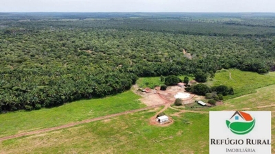 Fazenda, 2744 hectares - Foto 1