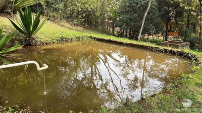 Chácara, 3 quartos, 10000 m² - Foto 4