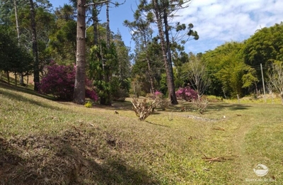 Sítio, 3 quartos, 22 hectares - Foto 5