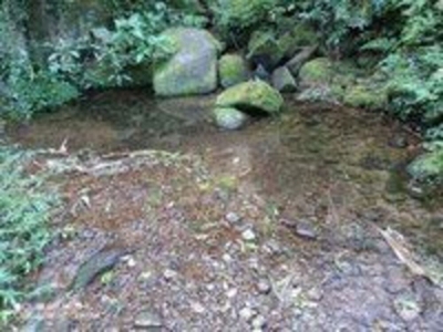 Sítio, 1 quarto, 15 hectares - Foto 3