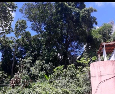 Terreno, 354 m² - Foto 4