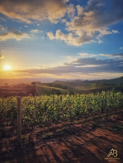 Terreno, 2453 m² - Foto 3