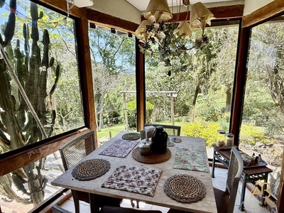 Chácara, 9 quartos, 3 hectares - Foto 4